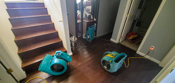  Silverthorne, CO Water damage restoration Pros