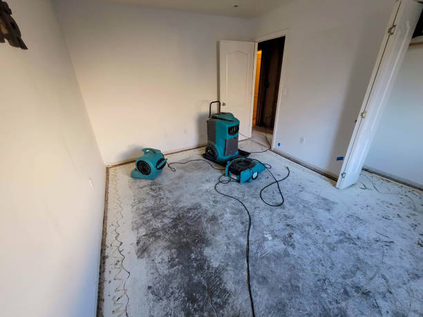 Best Emergency water damage restoration  in Silverthorne, CO