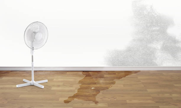 Best 24/7 water damage repair  in Silverthorne, CO