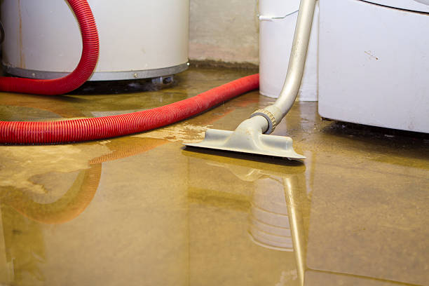 Best Commercial water damage restoration  in Silverthorne, CO