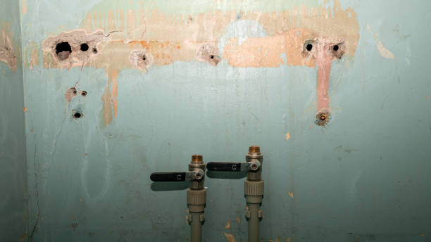 Best Ceiling water damage repair  in Silverthorne, CO