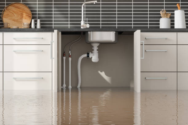 Best Fire Damage Restoration  in Silverthorne, CO