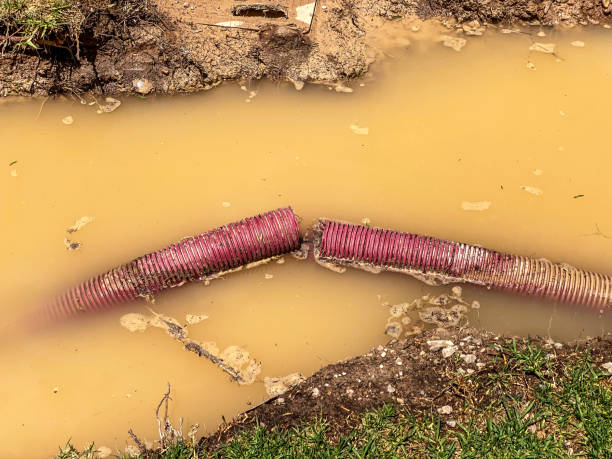 Best Water damage restoration near me  in Silverthorne, CO